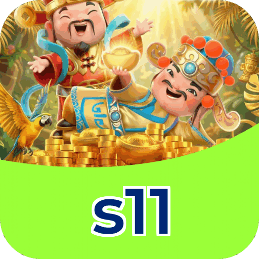 s11