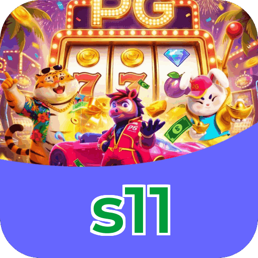 s11